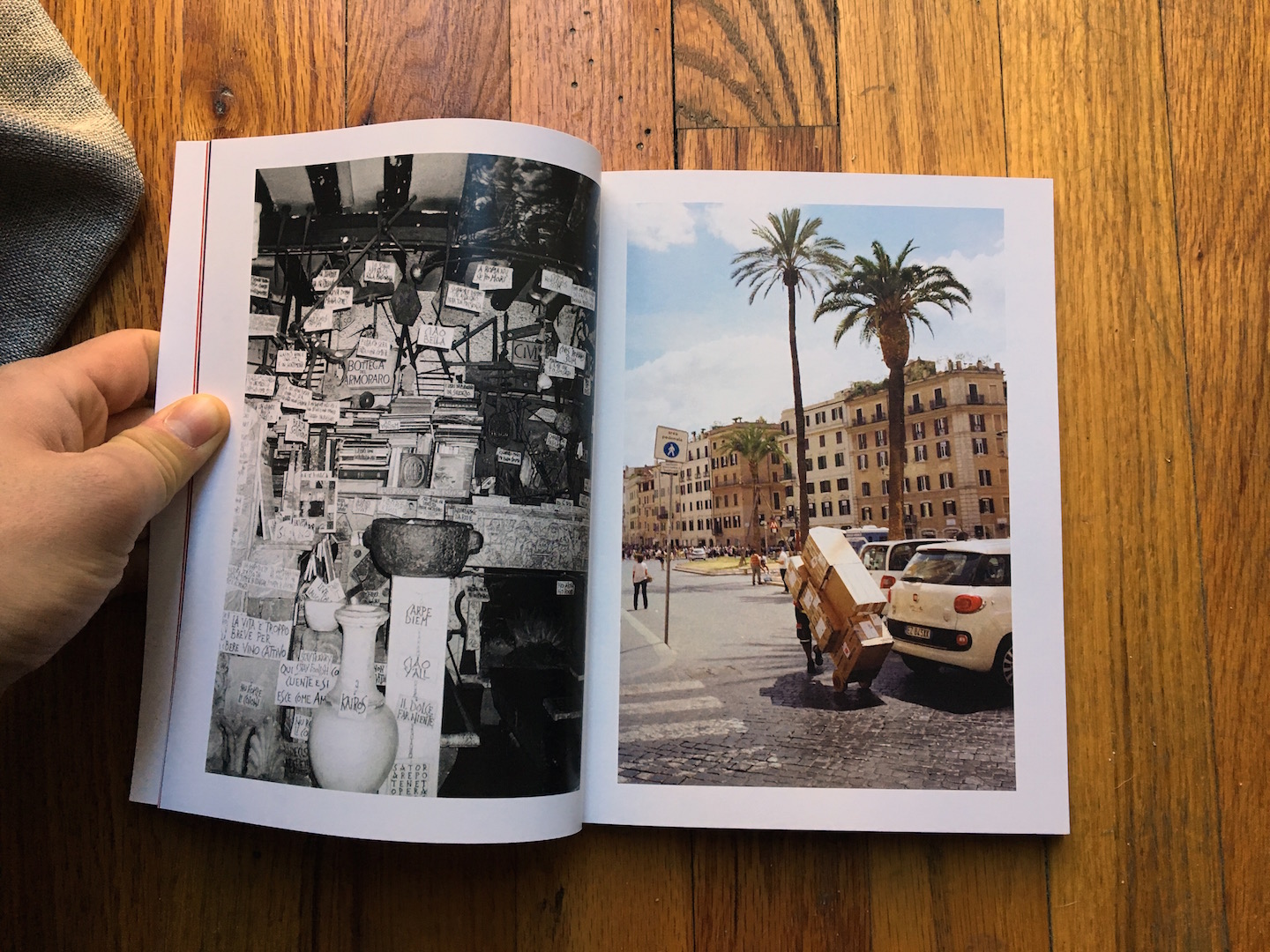 sign shop and palm trees